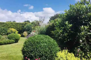 Screenshot 2025-03-04 at 16.07.58